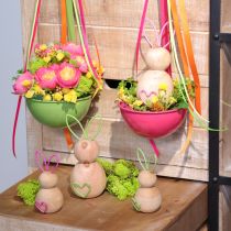 Produkt Chochla dekoracyjna, rustykalny styl, elegancka dekoracja salonu, 45 cm