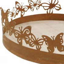 Taca z motylami, sprężyną, dekoracjami stołu, dekoracja metalowa patyna Ø20cm W6,5cm