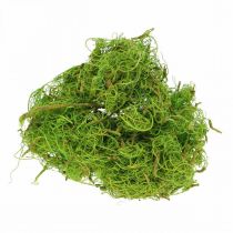 Produkt Włókno tamaryndowca Jasnozielone włókno naturalne do rękodzieła i dekoracji 500g