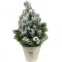 Mini choinka w doniczce sztucznie naśnieżana Ø18cm W32cm