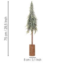 Produkt Sztuczna jodła, oblodzona, dekoracyjna choinka na drewnianej podstawie do dekoracji zimowych i bożonarodzeniowych, 75 cm