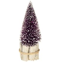 Produkt Dekoracyjna choinka bożonarodzeniowa w kolorze fioletowym z ośnieżoną końcówką na rustykalnej drewnianej podstawie 15cm, 3 sztuki.