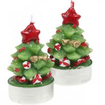 Podgrzewacze Christmas tea light jodła wys.6,5cm 6szt