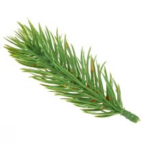 Produkt Końcówki sosny zielone 10cm 36szt