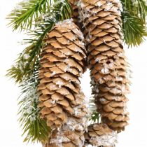 Jodłowa zieleń z szyszkami, dekoracja zimowa, gałązka jodły do zawieszenia, dekoracja ze śnieżnego stożka L33cm