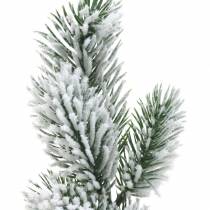 Gałązka jodły zielona ośnieżona 39cm 8szt