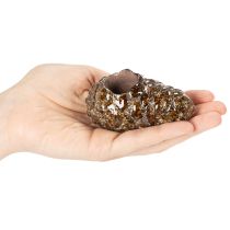 Produkt Podgrzewacz do świec w kształcie szyszki sosnowej 8cm 3 szt.