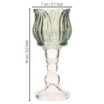 Produkt Podgrzewacz do tealightów szklany tulipan tealight szklany zielony Ø7cm wys.16cm 2szt
