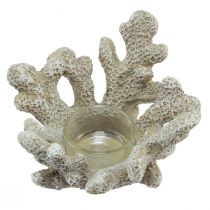 Produkt Świecznik na tealighty dekoracja koralowa morska szarość Ø12cm W8cm