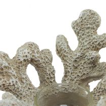 Produkt Świecznik na tealighty dekoracja koralowa morska szarość Ø12cm W8cm