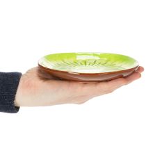 Produkt Okrągłe talerze ceramiczne z motywem kiwi, odpowiednie na stół jadalny lub do kuchni, 16 cm, 2 sztuki