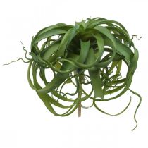 Tillandsia Sztuczna zielona roślina do przyklejenia Duża zielona Ø40cm