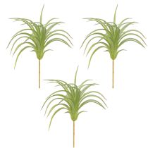Produkt Tillandsia Zielone Sztuczne Rośliny z Patyczkiem Ø17cm 3 szt