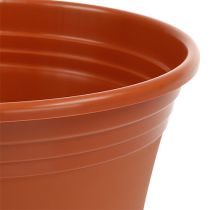 Produkt Doniczka „Irys” z terakoty plastikowej Ø15cm W13cm, 1szt