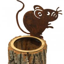 Drewniana doniczka doniczka z drewna wygląda na rdzawą mysz wys. 24 cm
