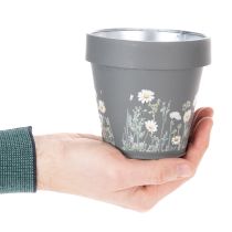 Produkt Doniczka z motywem stokrotek do stylowych wnętrz, 11 cm, 4 sztuki