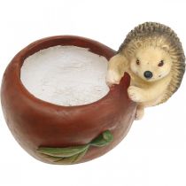 Produkt Sadzarka, jabłko z jeżem, dekoracja jesienna, doniczka, ceramika Ø16cm wys.22cm szer.33cm