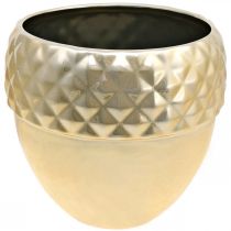 Produkt Cachepot Ceramic Acorn Golden Christmas Decoration Ø18cm H16,5cm