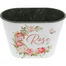 Produkt Sadzarka, ozdobne róże doniczkowe, miska na kwiaty dł. 19 cm wys. 12,5 cm
