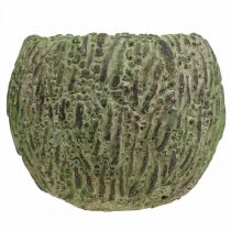 Produkt Donica betonowa antyczna zielona, brązowa donica Ø13cm