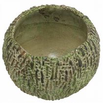 Produkt Doniczka betonowa, wygląd antyczny, zielono-brązowa, okrągła, Ø15,5 cm