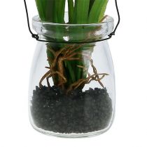 Produkt Hiacynt winogronowy sztuczny róż w kieliszku 16cm