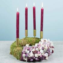 Suszone Kwiaty Broom Bloom Bielone 140g