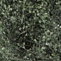 Produkt Wianek z suszonych kwiatów, zielona metaliczna dekoracja lepidium Ø33cm