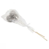 Produkt Suszone kwiaty ozdobne dzwonki na łodydze szare 37cm 3 szt