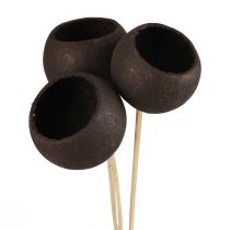 Produkt Suszone kwiaty ozdobne dzwonki na łodydze czarne 44cm 3 szt