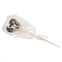 Produkt Suszone kwiaty ozdobne dzwonki na łodydze czarne 44cm 3 szt