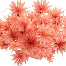 Suszone kwiaty czarnuszki Nigella suszone stare różowe 100g