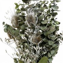 Bukiet suszonych kwiatów eukaliptus bukiet ostów 45-55cm 100g