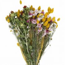 Produkt Bukiet suszonych kwiatów Bukiet suszonych kwiatów Bukiet kwiatów łąkowych 58cm