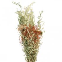 Bukiet suszonych kwiatów zbóż i maków dekoracja sucha 60cm 100g