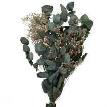 Bukiet suszonych kwiatów eukaliptusa łyszczec zakonserwowany 50cm w kolorze zielonym