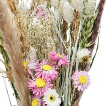 Bukiet suszonych kwiatów trawy Phalaris słomiane kwiaty różowe 60cm 110g