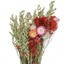 Produkt Bukiet suszonych kwiatów Bukiet kwiatów polnych Czerwony W50cm 150g