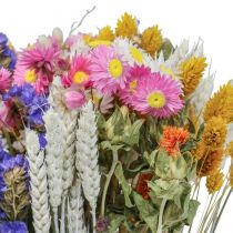 Produkt Bukiet suszonych kwiatów kwiaty słomkowe lawenda plażowa Phalaris ziarno 55cm