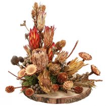 Produkt Dekoracja na sucho egzotyczne szyszki protea Bellgum L24–48cm 580g