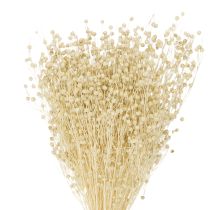 Produkt Len suszony trawiasty suszony naturalnie bielony 50-55cm 180g