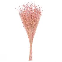 Produkt Suszona trawa lniana, dekoracja jasnoróżowa, 50-55 cm, 80 g, dekoracja stołu