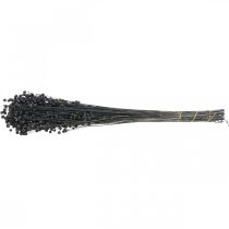 Produkt Suszona trawa ozdobna len, czarna, 50-55 cm, 80 g