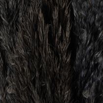 Produkt Trawa sucha, trzcinowa, czarna, 70 cm, trend dekoracyjny, 10 sztuk