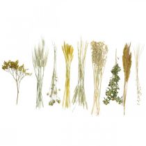 Produkt Zestaw suszonych kwiatów DIY, żółty, do kreatywnych bukietów i dekoracyjnych wieńców, 60 cm – produkt naturalny