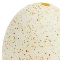 Produkt Jajka indycze naturalna dekoracja wielkanocna prawdziwe ptasie jaja 6,5 cm 10 szt.