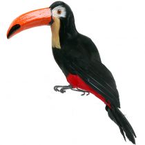 Tukan dekoracyjny z piórami czarny L37cm