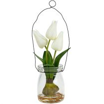 Tulipan biały w szkle H21cm 1szt.