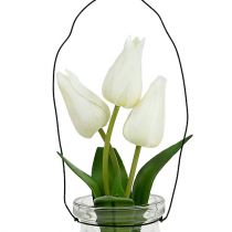 Tulipan biały w szkle H21cm 1szt.