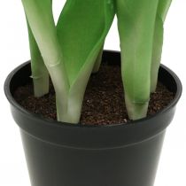 Produkt Tulipan różowy, zielony w doniczce Sztuczna roślina doniczkowa dekoracyjna tulipan wys.23cm
